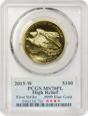 銀行振込5%オフ】 【激レア】 2015年 アメリカンリバティ ハイリリーフ