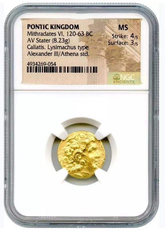 ��MS �����ۡڶ�Կ�������ʤ��ۡڲ���ͳ���ʤ��� �ݥ�ȥ����� �ߥȥ���ƥ�6�� �⥹���ƥ� ������120–63ǯ