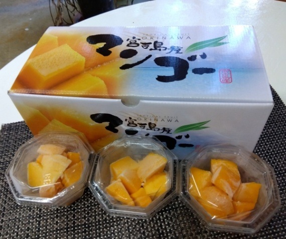 宮古島産カップ入りマンゴー×3個(冷凍) 【送料税込み】 | フルーツ