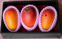 ڿ̸ۤʥ辰ѡܺ괰ϥޥ󥴡850g1kg2̡3̡