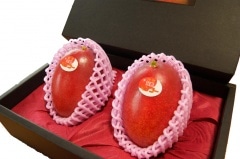 ̵۵ܺ괰ϥޥ󥴡 L2ꡡA󥯡