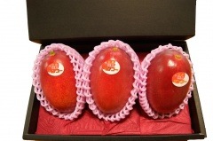 ̵۵ܺ괰ϥޥ󥴡 L3ꡡA󥯡