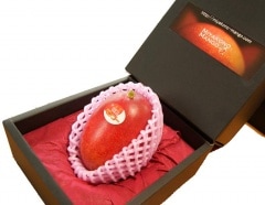 ������̵���۵ܺ괰�ϥޥ󥴡���3L��̡�1�����ꡡ����A��󥯡�