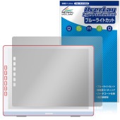 DASUNG133 ݸ ե OverLay Eye Protector for Х˥ վݸ ܤͥ ֥롼饤ȥå