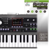 KORG microKORG2 ݸ ե OverLay Brilliant Premium for 륰 󥻥 վݸ ޤ  AR ȿ㸺