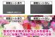 OverLay Plus for DIGNO 2 702KC رվ̥ǥץ쥤ѥåȡ