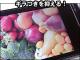 OverLay Plus for Xiaomi Mi Pad 2