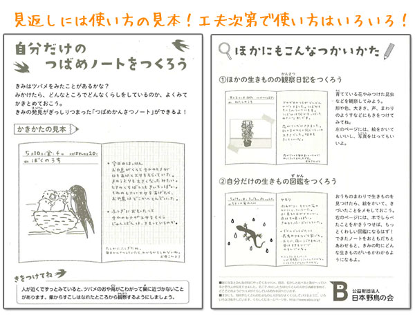 ĥХ ĤФᤫ󤵤ĥΡ A5 H30S5mm