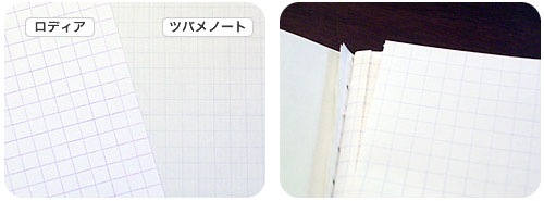 ե塼㡼(Future)A6 ĹΡ