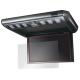OverLay Brilliant for carrozzeria 10.2V ���磻��VGA �ե�åץ������˥��� TVM-FW1030 / TVM-FW1020