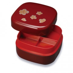 ɤ 6.5 Գ   ư 緿 Ȣ  2 Ȣ 襤   ָ 