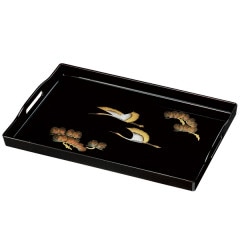 �����ɤ� �ܣ��� Ĺ���� ί ����