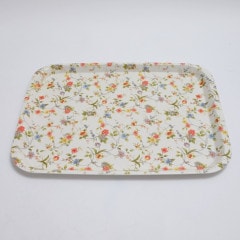 �Υ󥹥�åץȥ졼 ���ˡ������ǥ� 43cm��L��