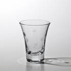 ڻ ꥢ ڻҥ饹 ݤ ܼ   饹 ݥ륫 б