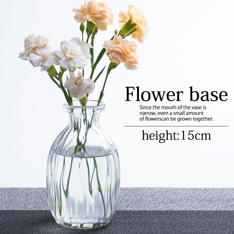  饹 ޤ  ե١  15cm 襤 ꥢ ̲  ̵