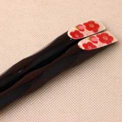 ŷ Ȥ ŷ  23cm Ȥ Ϥ