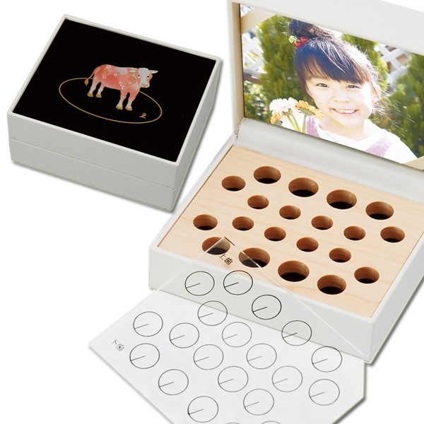 ������̵������TEETH BOX�������������� �� ���ټ��� ���ʤ�����