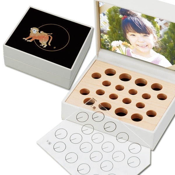 ������̵������TEETH BOX�������������� �� ���ټ��� ���ʤ����