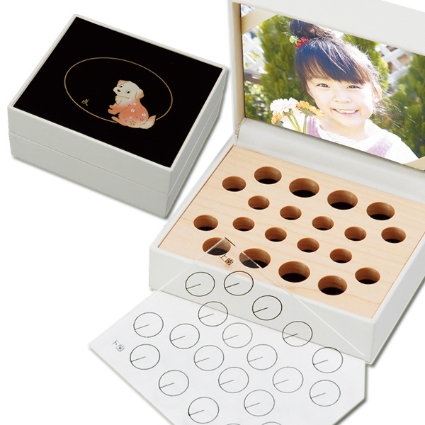 ������̵������TEETH BOX�������������� �� ���ټ��� ���ʤ��̡�