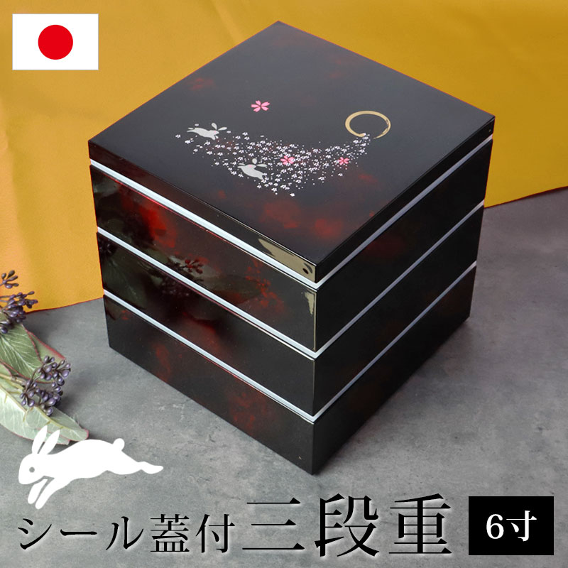 ɤ 6  Ȣ ̹Ĵ ٤ù  본 ư 緿 Ȣ  3 Ȣ 襤   ָ   ̵