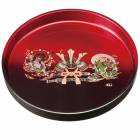 �����ɤ� ���� �ȥ졼 10�� 30cm ���� ������ʬ ���ֳ� ���� �¼� ü������ ����Ĵ �ȥ쥤 ������