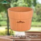 FOREStable ���åץۥ���� ���� ľ��7.7cm �楳�å� 10����  8���� �����ȥɥ� ������� �楳�åץۥ���� �ɥ�󥯥ۥ���� �����ҡ����� ���� TOUGEI �۷�