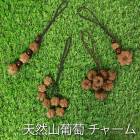 ƺ㡼 Хå㡼 ۥ ȥå  Хå ۤ ꡼ դ ֤ɤ ޤ֤ɤ ̢ ŷǺ   㡼 ֶ3Ϣ ȬѲԤ2Ϣ Ԥ߶8Ϣ ϻѲԤ8Ϣ