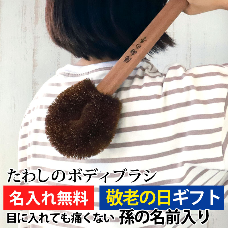 亮Υܥǥ֥饷 ץ쥼 Ħ̾ ¹̾   ܣݭ « 路 Ĺ40cm ̵̾ ե Ū  ⤷ ե  Ť 80   ¹ 2024 ̵