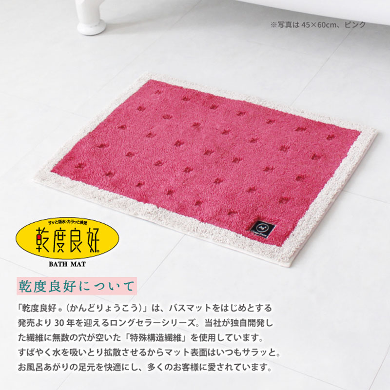 バスマット 乾度良好Ag＋ クリーンフット 45×60cm 乾度良好 銀イオン
