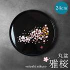 ���� �������� ���� ���� 24cm �� ������ ������ ���ܤ� �ȥ쥤 �ȥ졼 ������� ����� �֥�å� �� �뺧�ˤ� ��Ϸ���� �����ɤ� ���ɤ� ���ˤ� ���ե� �ץ쥼���