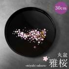 ���� �������� ���� ���� 30cm �� ������ ������ ���ܤ� �ȥ쥤 �ȥ졼 ������� ����� �֥�å� �� �뺧�ˤ� ��Ϸ���� �����ɤ� ���ɤ� ���ˤ� ���ե� �ץ쥼���