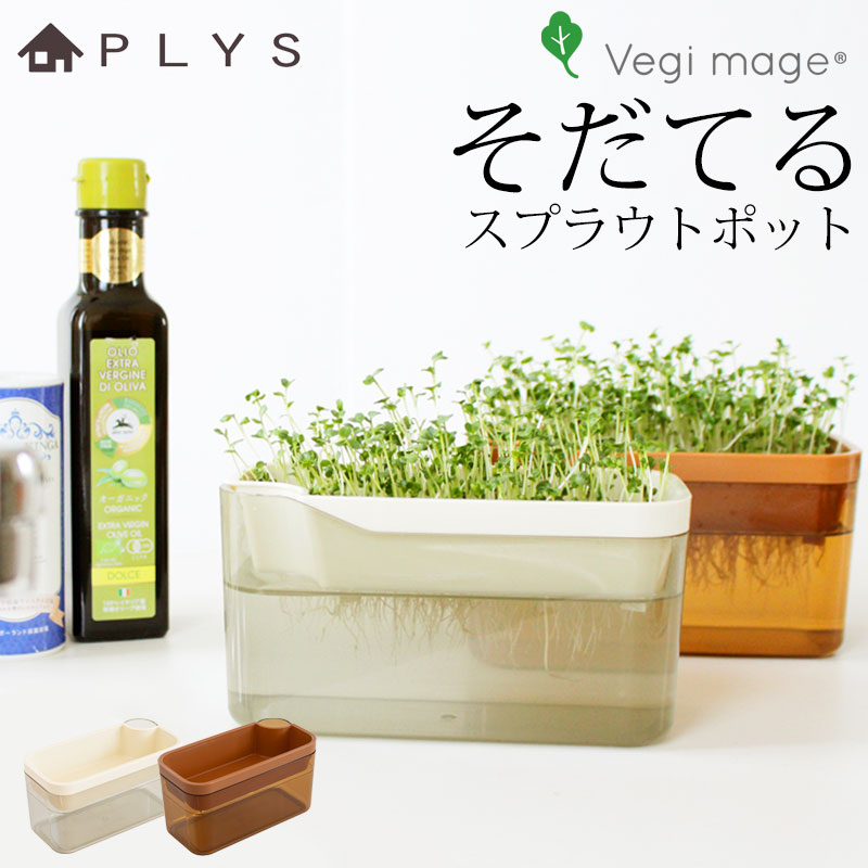 PLYS ٥ޥ Ƥ ץ饦ȥݥå  ƴ ݥå ̺ ڱ   Ƥ  ץ󥿡  ں ڱ ֥å꡼ץ饦 ܥ꡼ ֥饦 å󻨲 ƥꥢ  