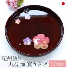 ���� ί �㤦���� �ȥ졼 30cm 10�� �����ɤ� ���� ����� ����Ƥʤ� ������ ������� ������ �� �� ������ �������� �� ���ܤ� �ȥ쥤 �߷� �ݷ� �������� ���ˤ�