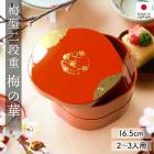 ��Ȣ 2�� 5.5�� 16.5cm ���� ������ ������ �ߤβ� �߷� 2��3���� ���ʽ�Ȣ ������ ������ ���������� ����Ȣ �� ������� �뿧 ������� ���� ���� ������ ��ư�� ���ָ� �Գ� �����ɥ֥� ���� ��鴶 ���� ���� ����̵��