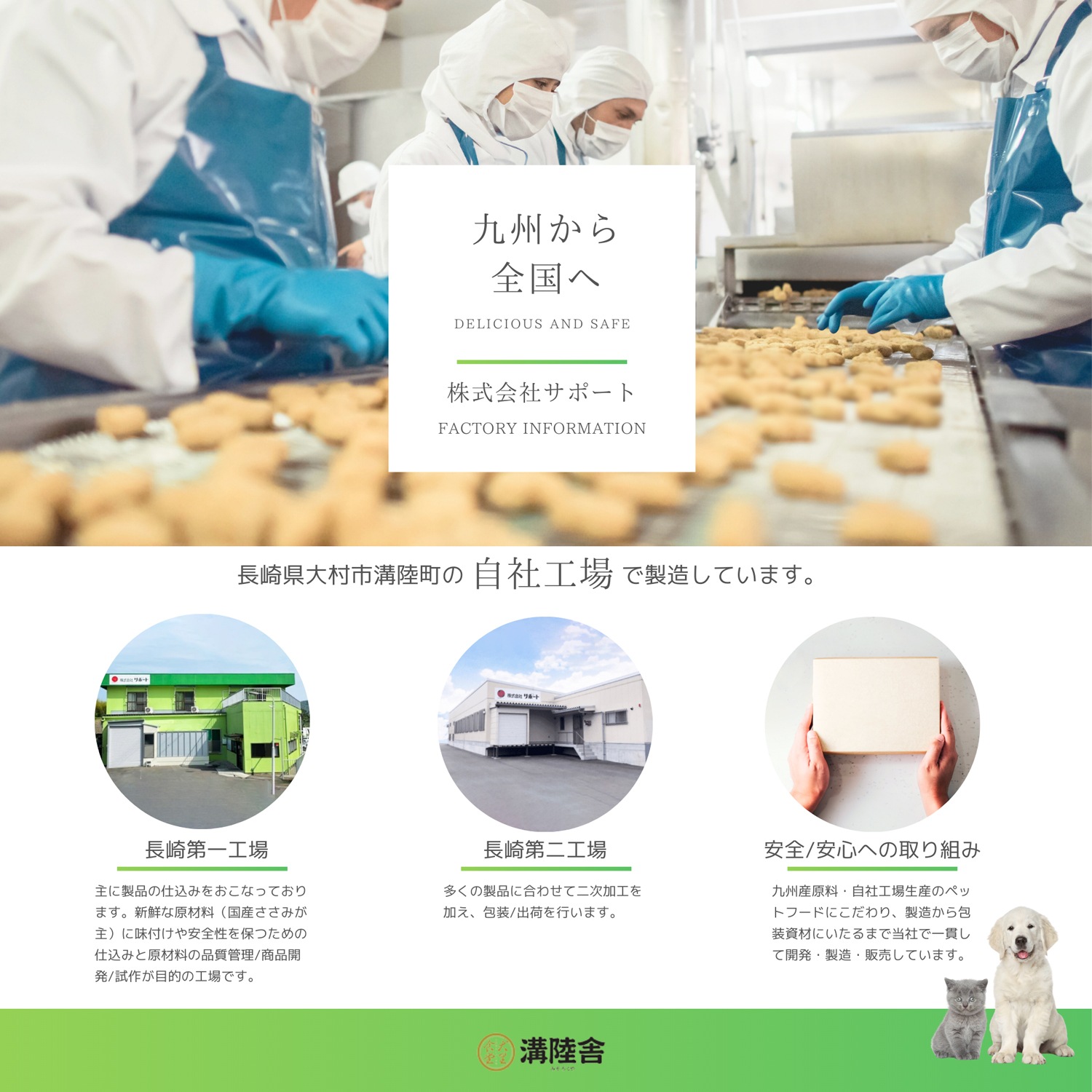 Φ˥եȥӥå() 6ѥåå ꤫饷˥ޤǤ˺Ŭ KT-11(ꥹѥ)500/1ڸĶȱ϶ĲĶ