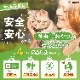 �� ǭ�� ���㡼�������꡼�� �����߶˺��ڤ� 6�ѥå����å�