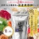 �Ԥζˤ� (�����Τ����) �� 600g ����̵ź�� �ҥ塼�ޥ󥰥졼�ɤθ�������� ���ꥸ�ʥ�ɥå��ա��� (����������) �� �򹯰ݻ� ��Ĳ��Ķ����ȱֵ�ǽ������������ò�¥�ʡ����桢�ӤŤ�η򹯤򥵥ݡ��ȡ�