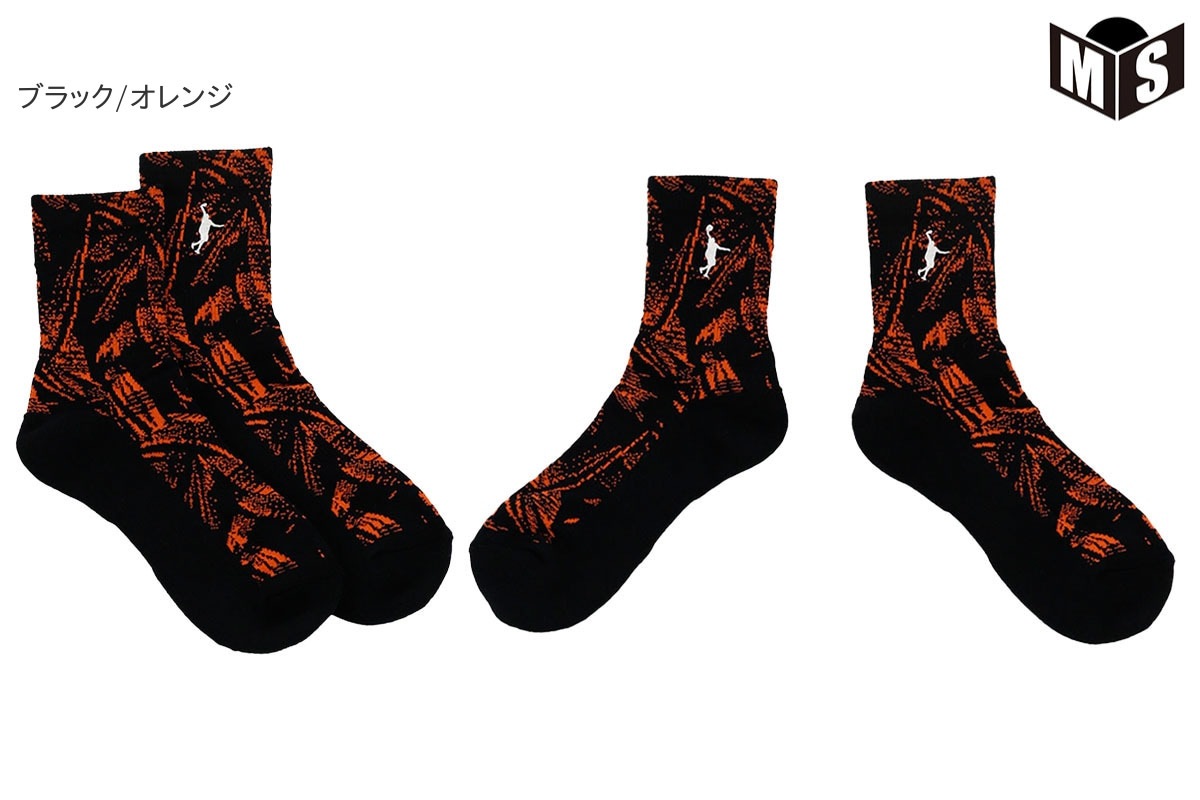 2/23(���)20���� ��軻�����뢡 ���å��� ���󥶥ڥ���� ��ITP24487�� �Х��� �Хå��� ���������ʡ����Բġ�