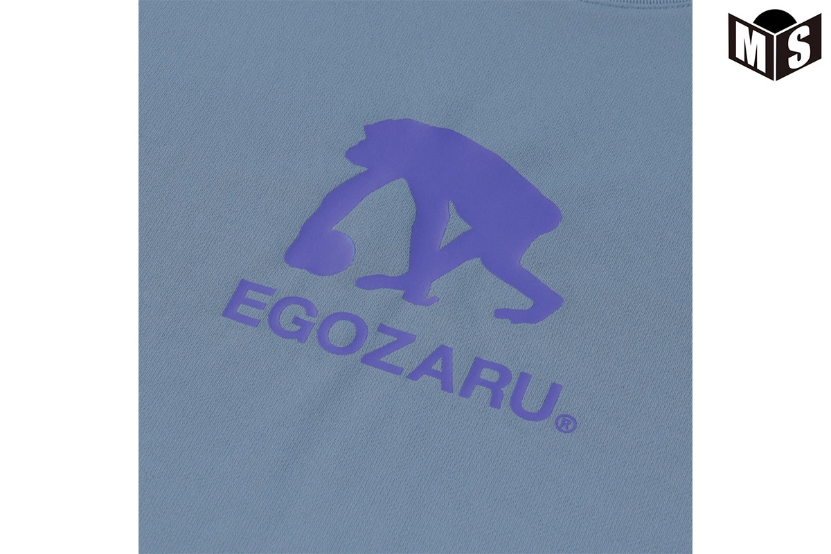 ラインロゴ バックプリントロングスリーブTシャツ エゴザル 【EZFW25ULS008】 バスケ ロンt 長袖 練習