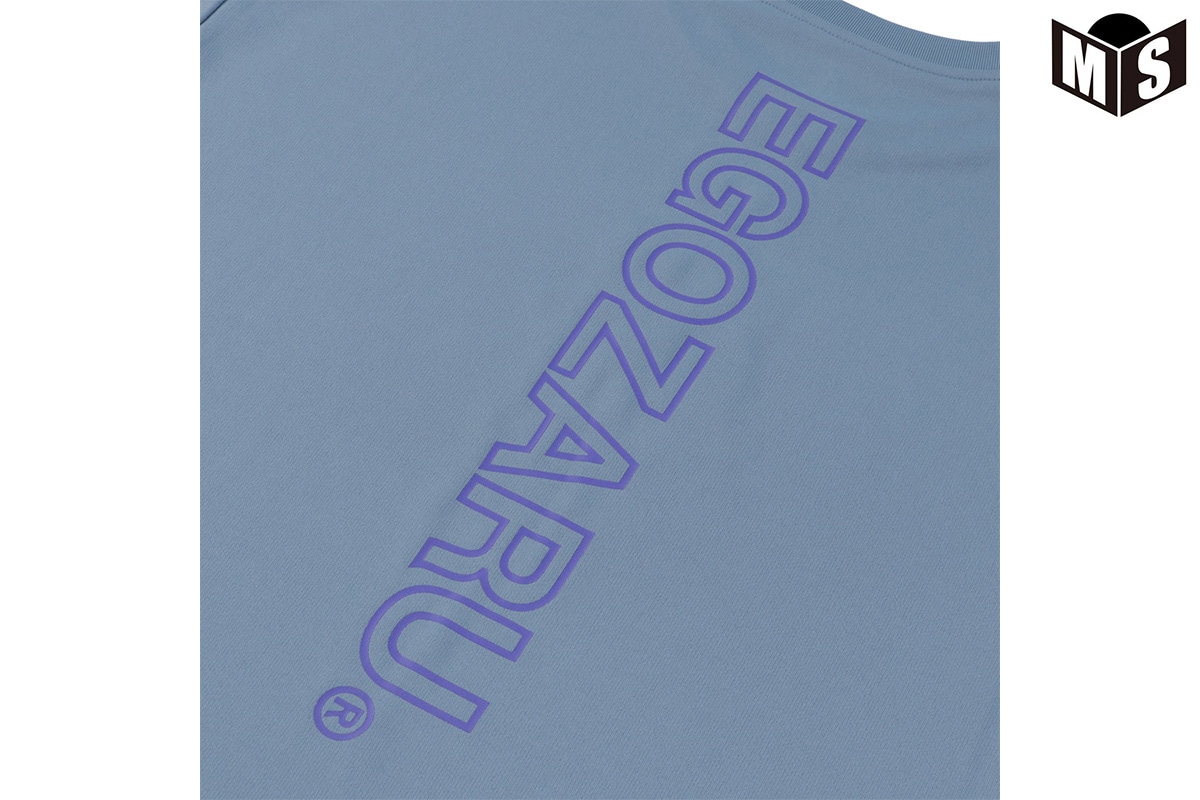 ラインロゴ バックプリントロングスリーブTシャツ エゴザル 【EZFW25ULS008】 バスケ ロンt 長袖 練習