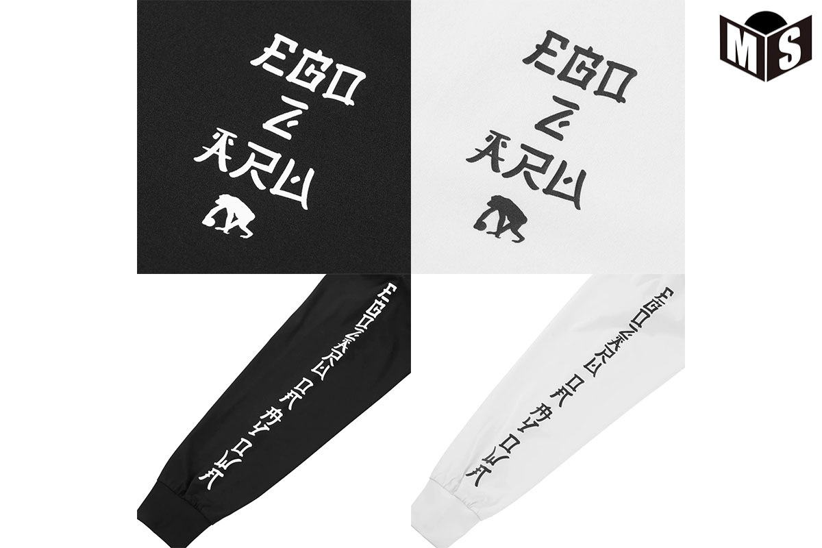 BIG륨å ꥨ󥿥륹꡼֥ 󥰥꡼T  EZFW25ULS005 Х t Ĺµ 