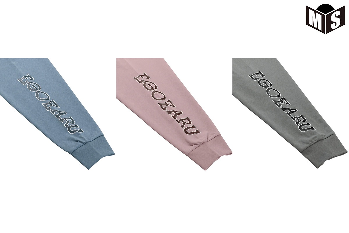 BIG륨åȥåץӡȥ󥰥꡼T  EZFW25ULS022 Х t Ĺµ 