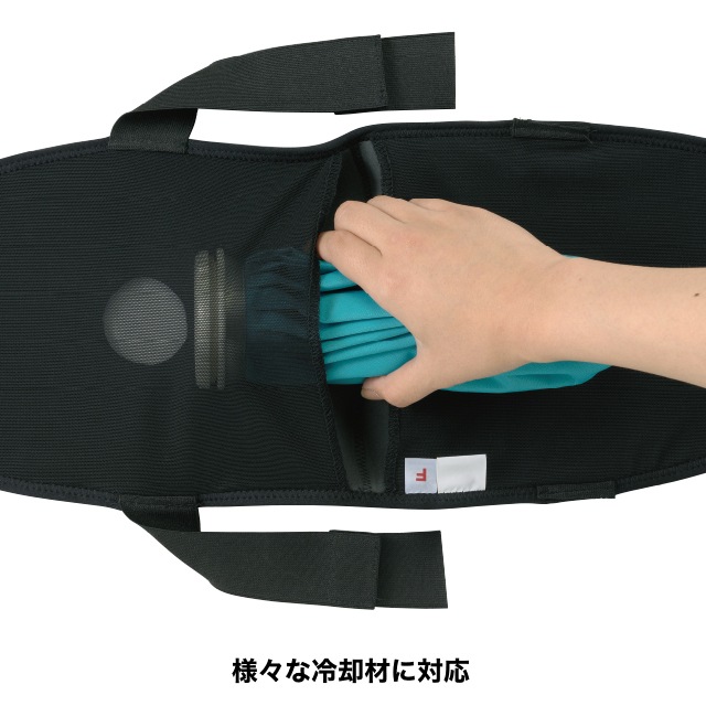 ˥ ѥݡɹΤ  ॹȡ377603