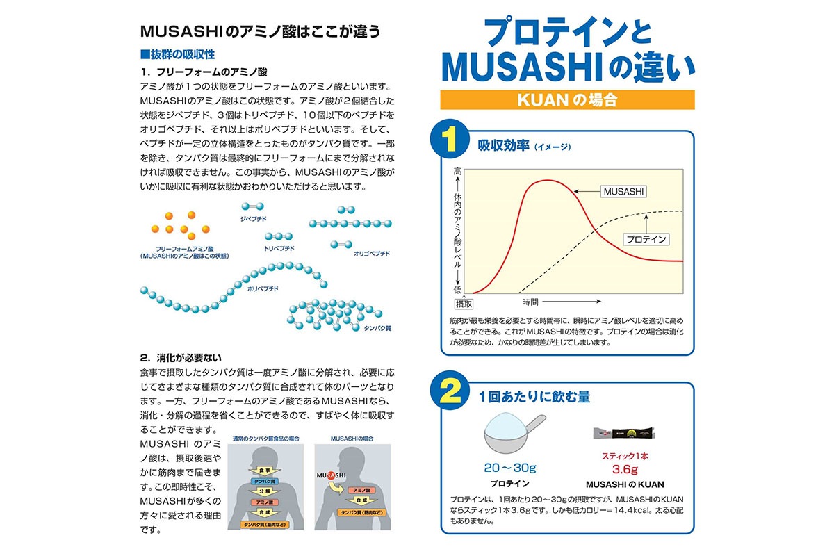 CHEN  45 ȯϥݡ ॵ MUSASHI CHEN-00549 ץ 򹯿 ߥλ ڤʸΥ󥻥롦ʡԲġ