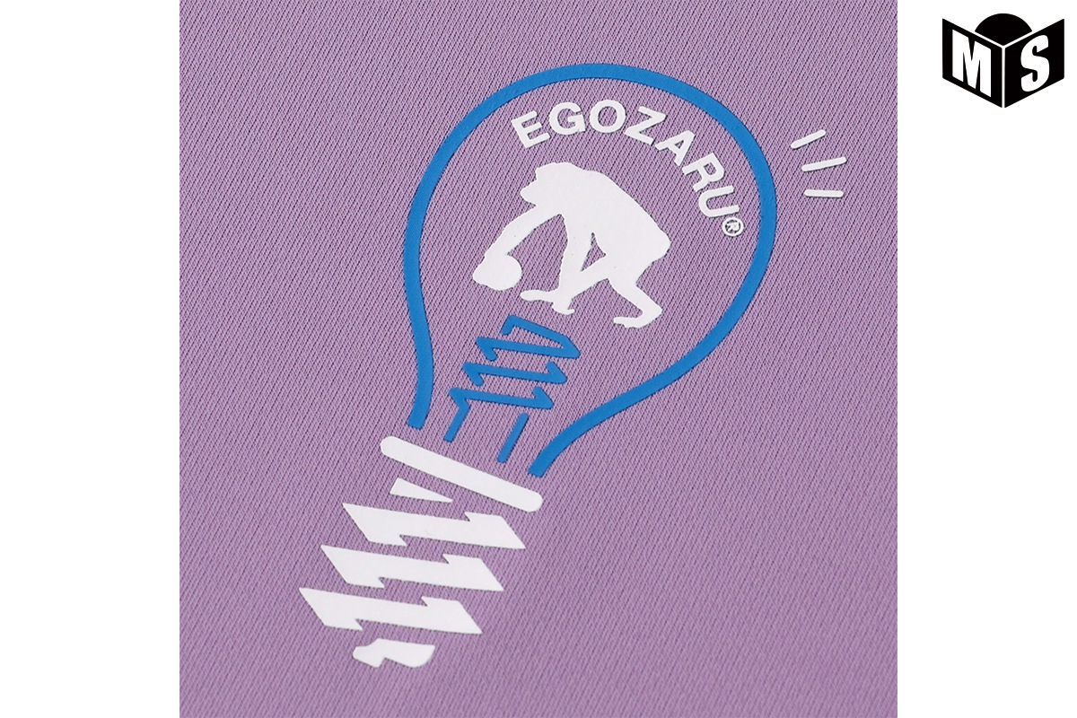 饤ȥХ T  EZST-S2428  Х t Ⱦµ