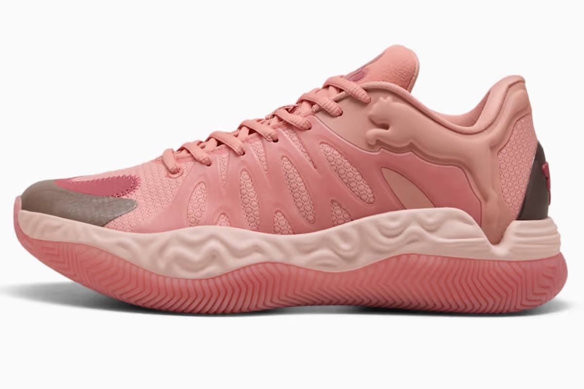 HALI 1 �����꡼�����ϥ�С��ȥ� �ס��� ��313451-01�� �Х��� �Хå��� ���塼�� 2025/11/26