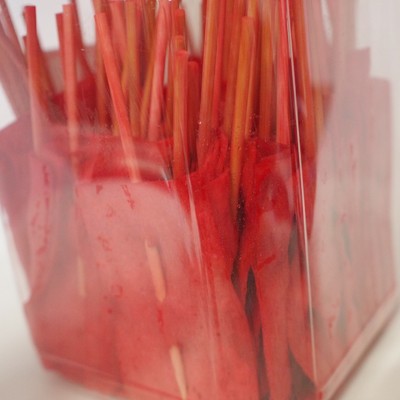 うめちゃん 111092001201.jpg