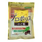 ������ �ץ��ݥꥹ�Τɰ� 80��ߣ���