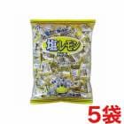����Ϻ���� 1kg �����󥭥��ǥ�����5��