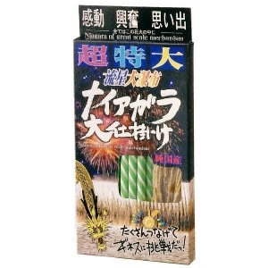 �ʥ�������ֲ� Ķ����ʥ���������ųݤ� ��� 1�ġ�12������ ��ư����ʳ���פ��Ф򼫤�μ��